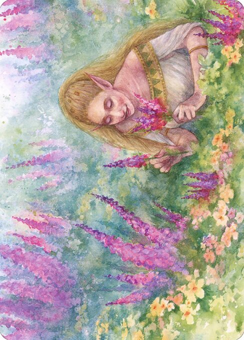Abundant Harvest