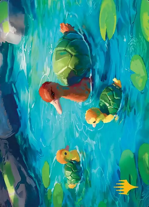 Turtle-Duck