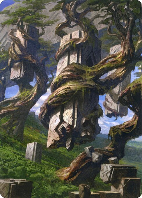Forest