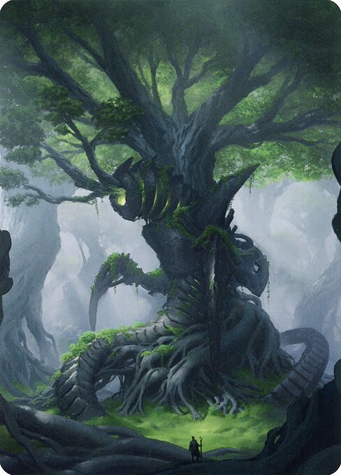 Forest