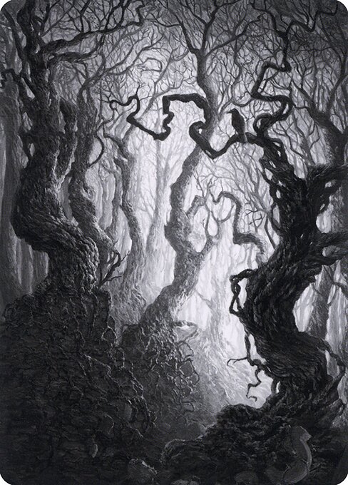 Forest