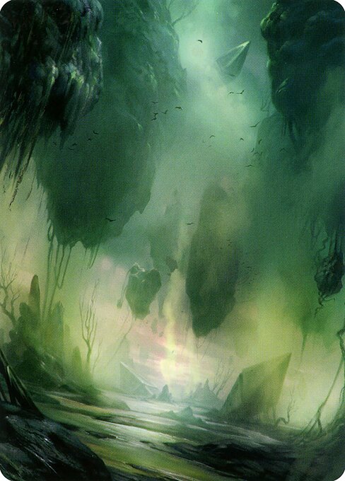 Swamp
