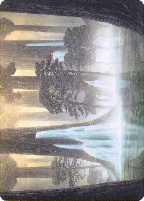 Waterlogged Grove