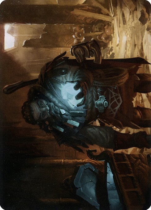 Vault Robber