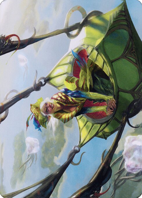 Nael, Avizoa Aeronaut