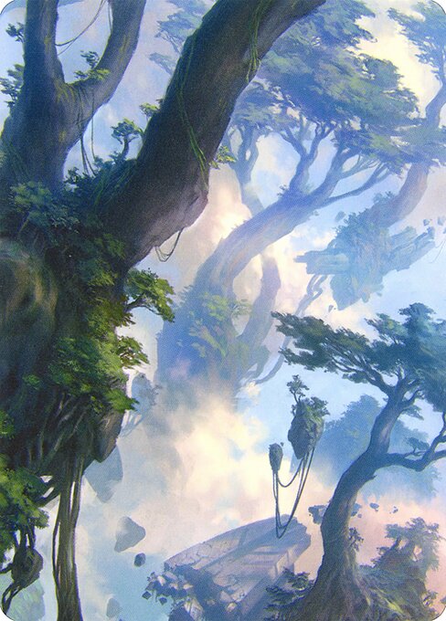 Forest