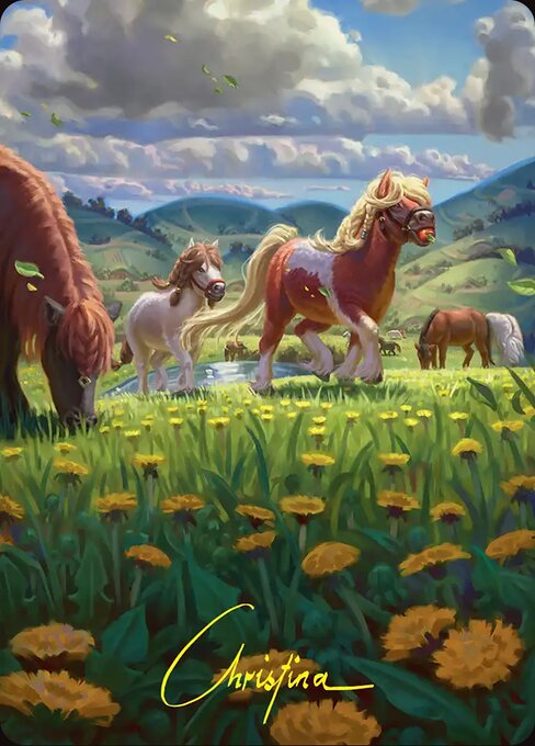 Troop of Ponies