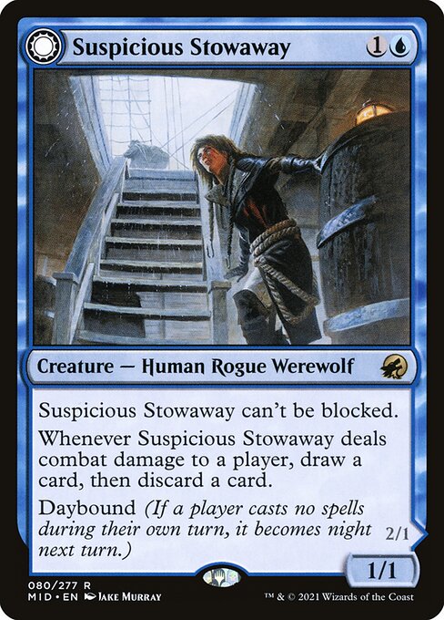 Suspicious Stowaway