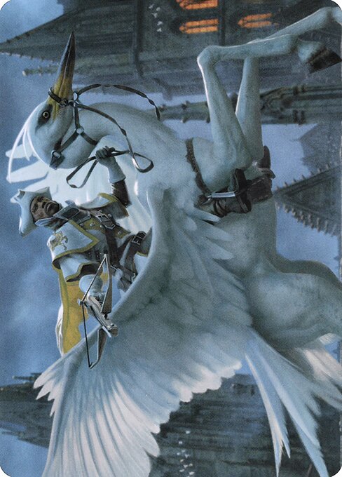 Gryff Rider