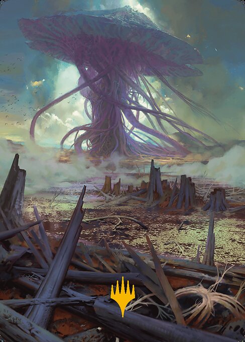 Swamp