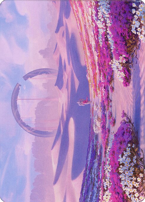 Plains