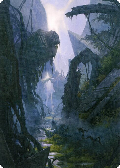 Swamp