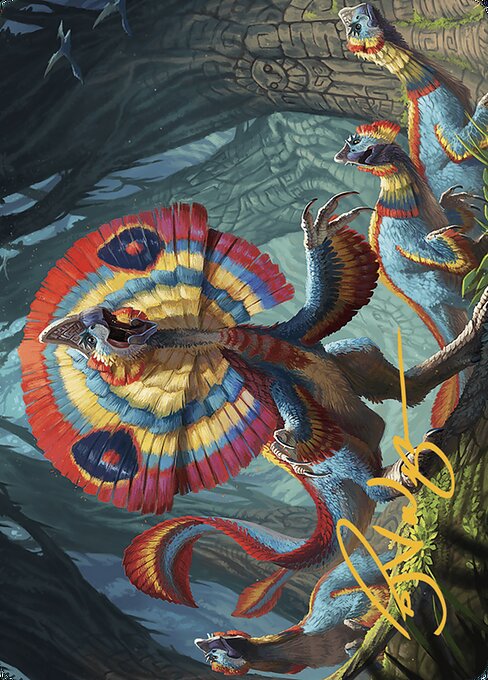 Sunfrill Imitator