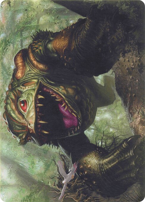 Excavating Anurid